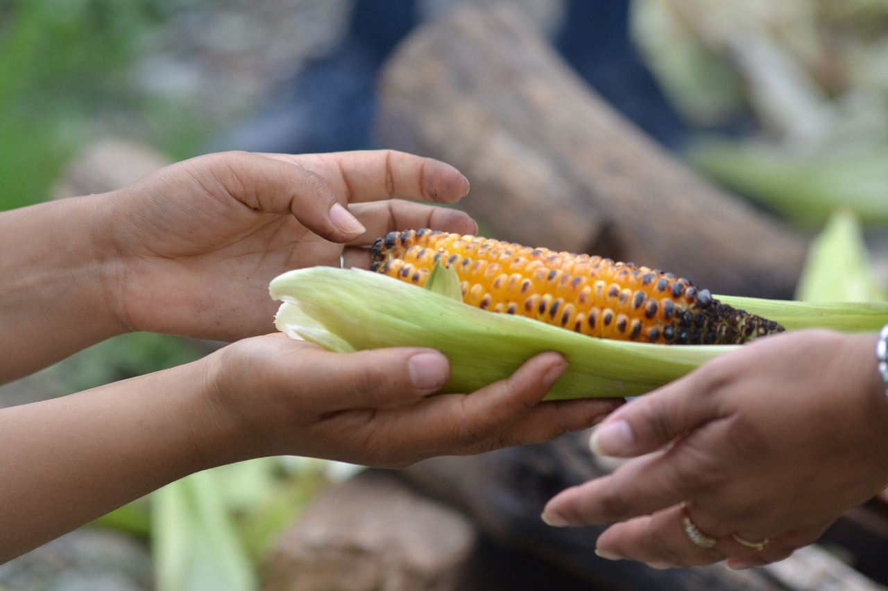 Ayuda comunitaria por FUNDESI